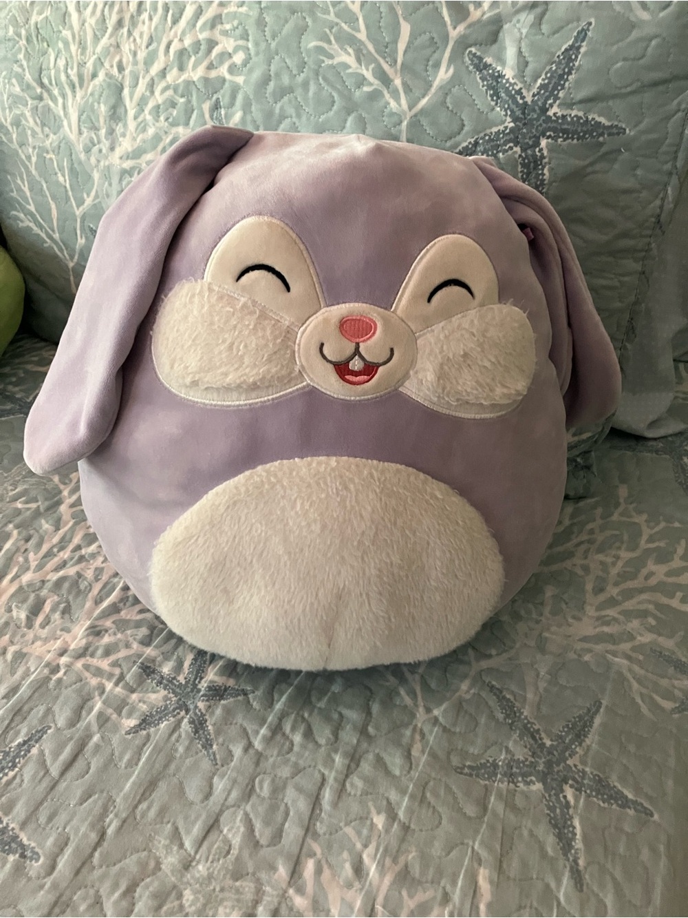 Squishmallows 20” size Rabbit